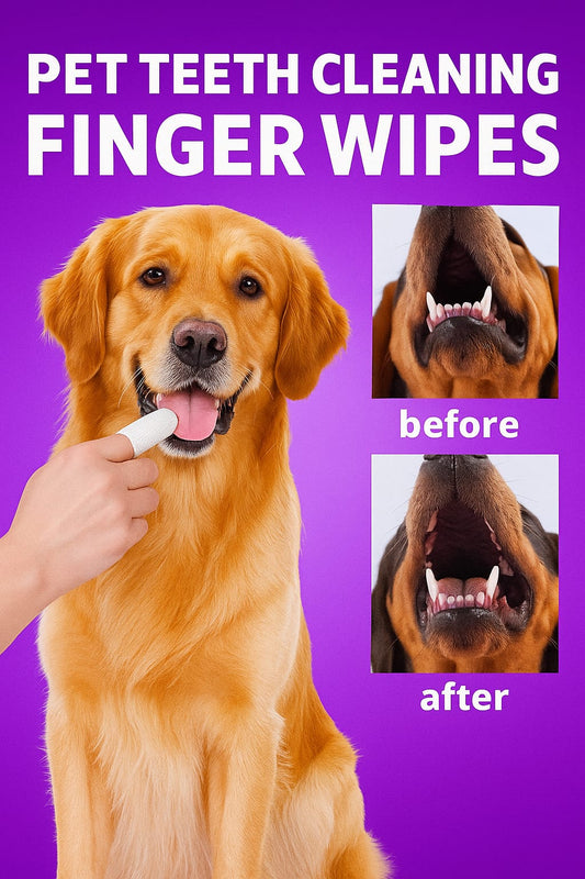Pawlish Wipes