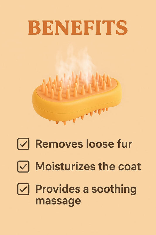 Paw steam