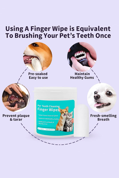Pawlish Wipes